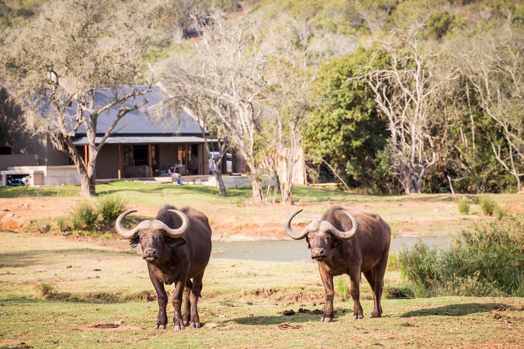 Botlierskop Bush Villas Sandhoogte Exterior foto