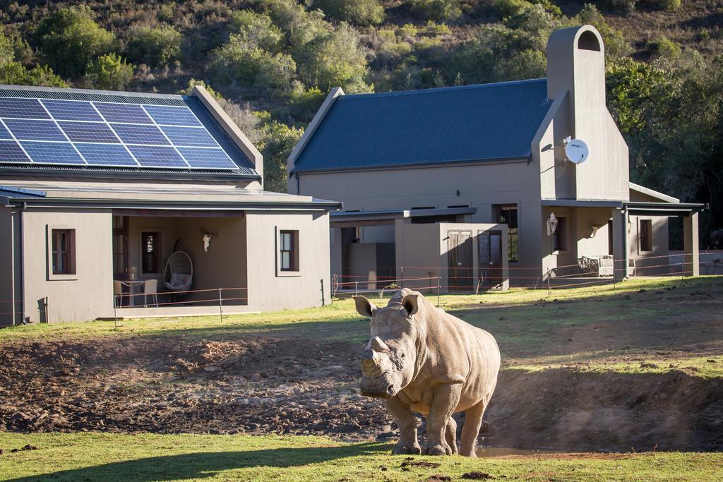 Botlierskop Bush Villas Sandhoogte Exterior foto