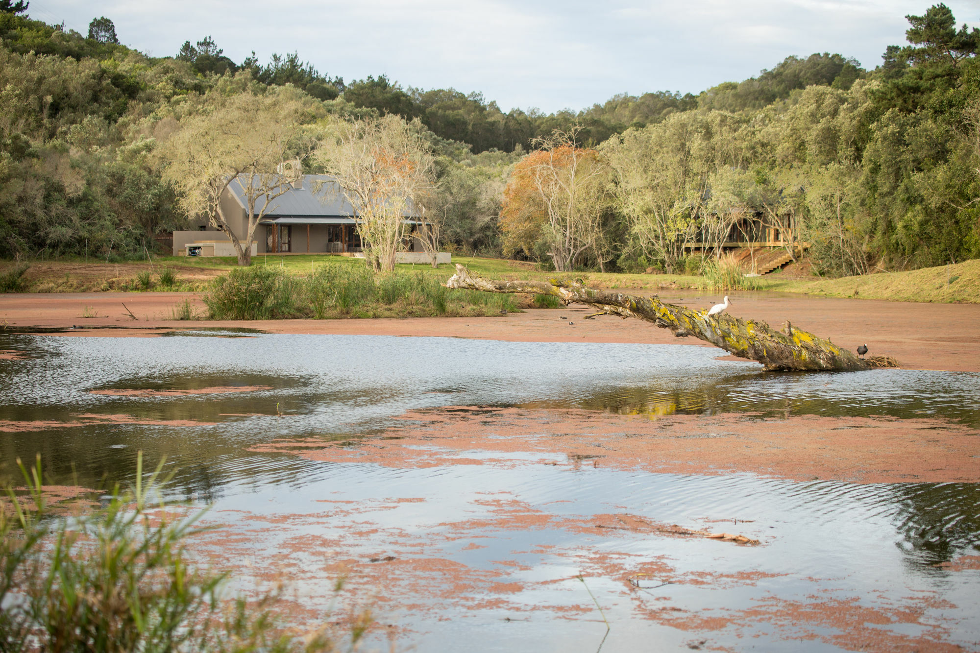 Botlierskop Bush Villas Sandhoogte Exterior foto